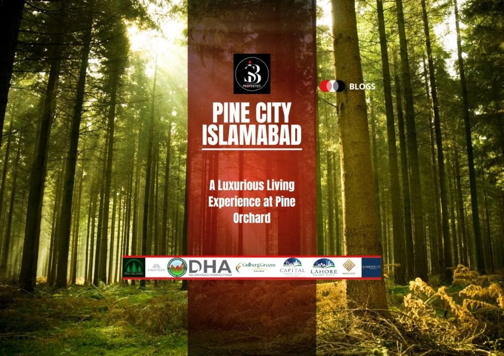 Pine City Islamabad